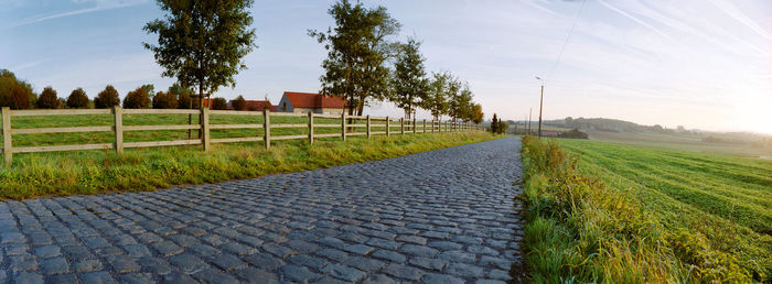 Paving sett road in warm golden autumnal sunlight with a grass field on the right side and trees