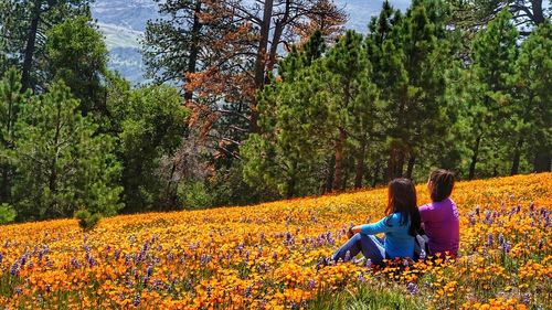 Woman sitting on grassy field