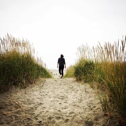 Rear view of man walking on beach