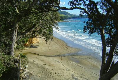 Scenic view of beach against sky