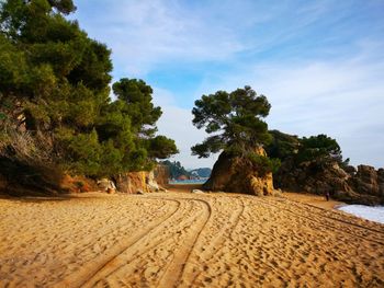 Scenic view of beach against sky