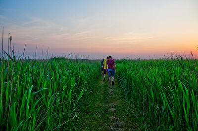 Rear view of men walking on field