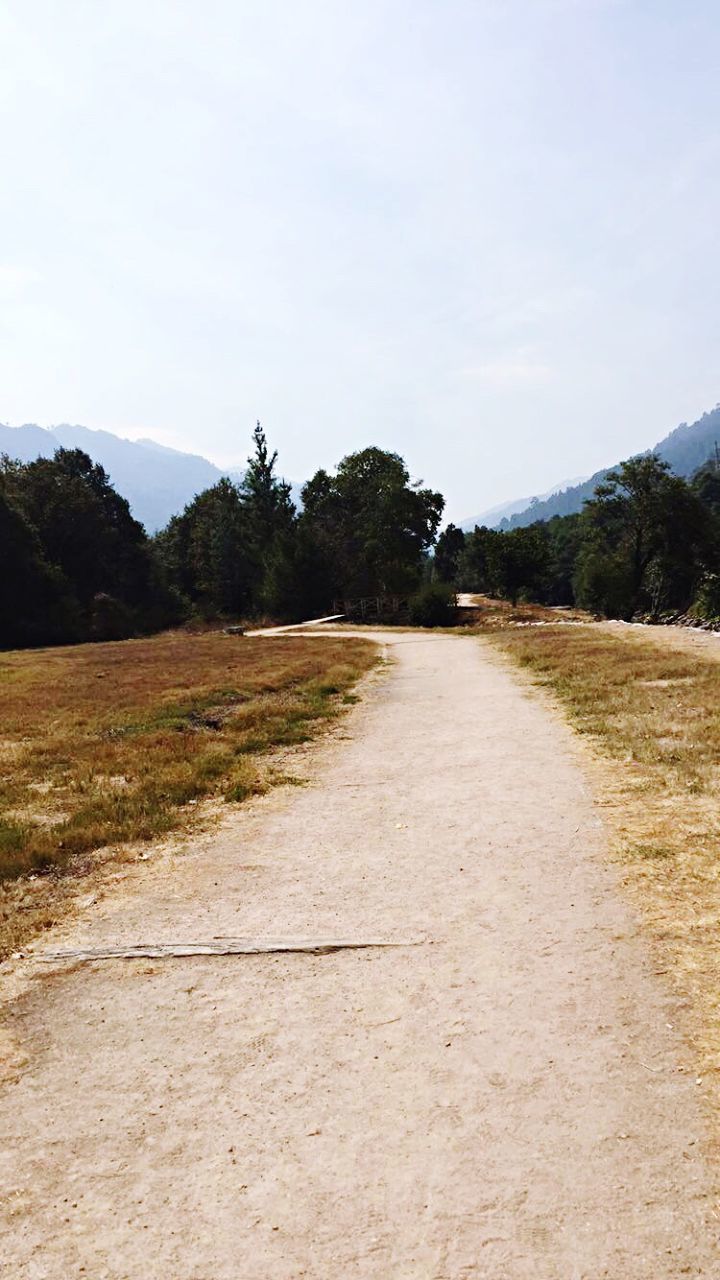 tree, tranquil scene, clear sky, tranquility, the way forward, scenics, landscape, mountain, grass, non-urban scene, growth, nature, beauty in nature, field, footpath, sky, remote, travel destinations, outdoors, day, diminishing perspective, empty road, mountain range, no people, surface level, solitude, grassy, green color, rural scene, curve