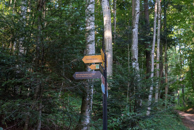 Information sign amidst trees in forest