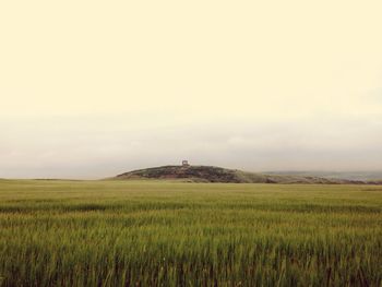 Scenic view of field against sky