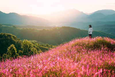 Man in pink meadow against mountains at sunrise