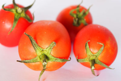 Close-up of tomatoes on table against white background