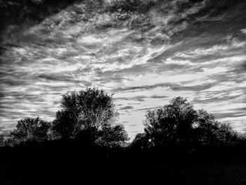 Low angle view of silhouette trees on field against sky