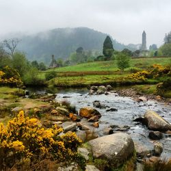 Stream with mountain in background