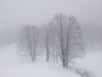 Scenic view of snow covered landscape