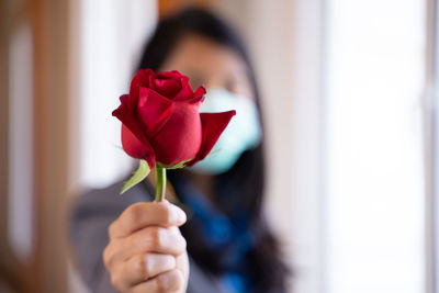 Close-up of woman holding red rose