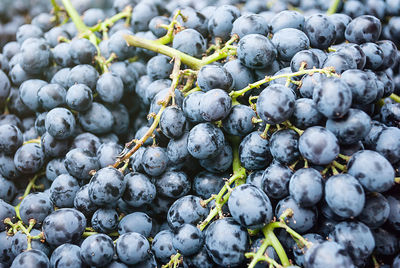 Full frame shot of black grapes