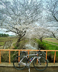 Bicycle parked by canal against clear sky