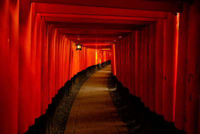 Footpath amidst torii gates