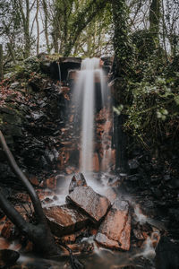 Scenic view of waterfall in forest