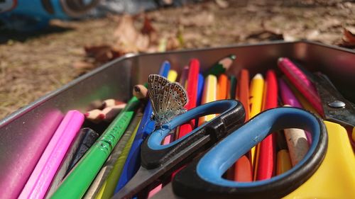 Close-up of multi colored pencils