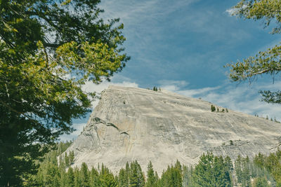 Views of yosemite national park in the summer in northern california.