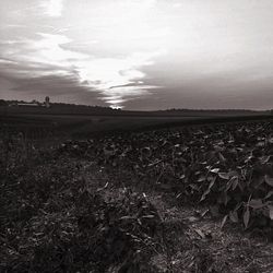 sky