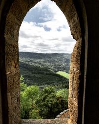 Trees on landscape against sky