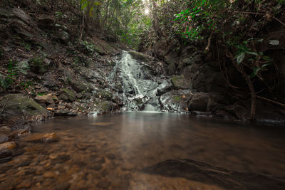 Scenic view of waterfall in forest