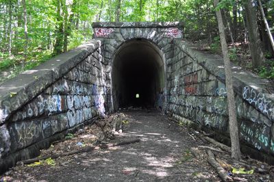 Tunnel with bridge