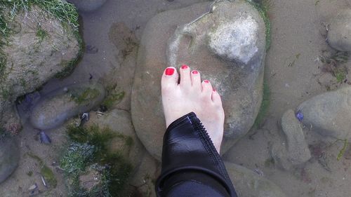 Low section of people standing on beach