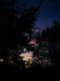 Low angle view of silhouette trees against sky at night