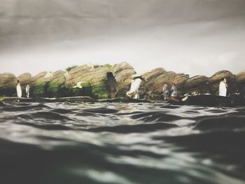 Surface level of rocks by sea against sky