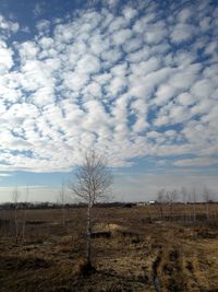 Scenic view of field against cloudy sky