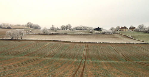 Scenic view of landscape against clear sky during winter