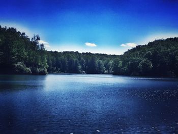 Reflection of trees in calm lake