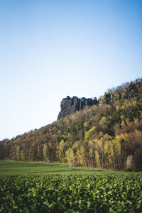 Scenic view of field against clear sky