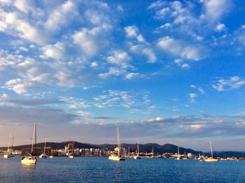 Sailboats moored in harbor against sky