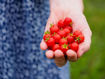 Cropped hand holding red berries