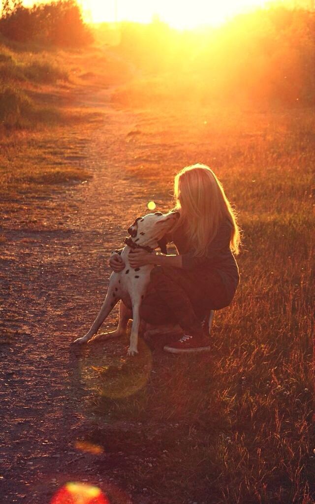 sunset, lifestyles, leisure activity, orange color, field, full length, domestic animals, casual clothing, sunlight, childhood, person, grass, nature, standing, landscape, girls, outdoors, sun