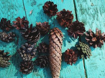 High angle view of pine cone on table against wall