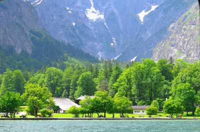 Green lake of königssee