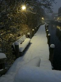 Snow covered trees at night