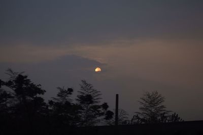 Silhouette of trees at sunset