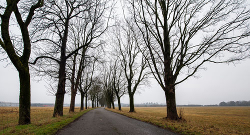 Empty road amidst bare trees against sky