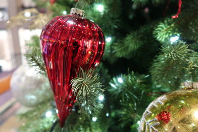 Close-up of christmas decoration hanging on tree