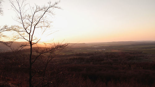 Scenic view of field against sky during sunset