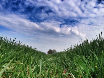 Scenic view of field against cloudy sky