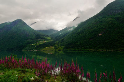 Scenic view of lake and mountains against sky