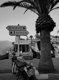 Road sign by palm tree against clear sky