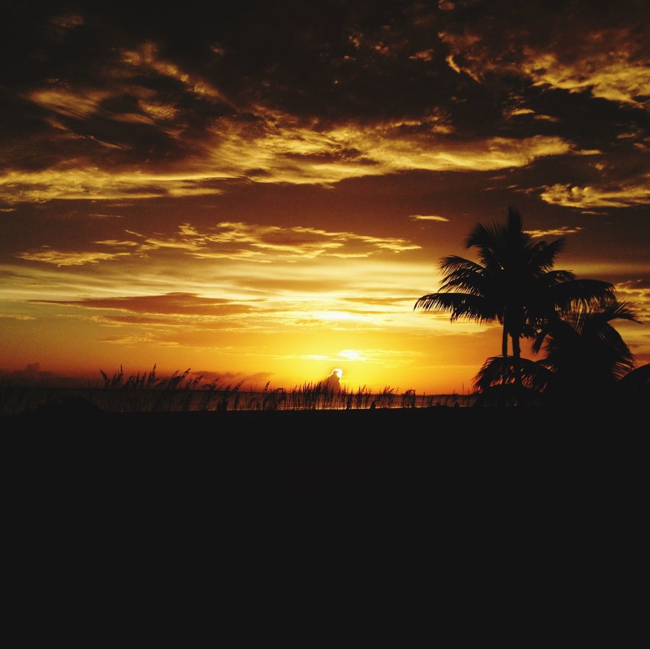 Fort Myers Beach