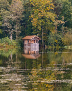 Hut by lake in forest