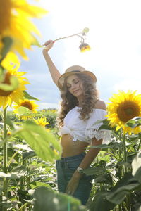 A young girl with a model appearance, in denim trousers and a white blouse in a sunflower field