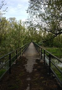 Scenic view of bridge surrounded by trees against cloudy sky