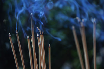 Close-up of burning incenses outdoors